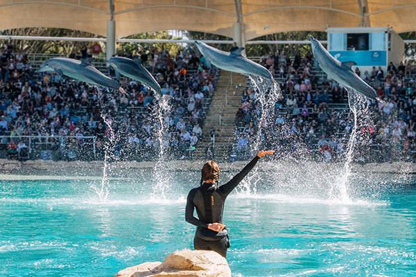 <span> Day 6 </span> SEA WORLD