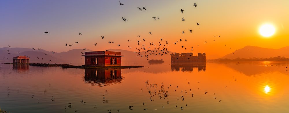 <span> Day 5 </span>Pick up 