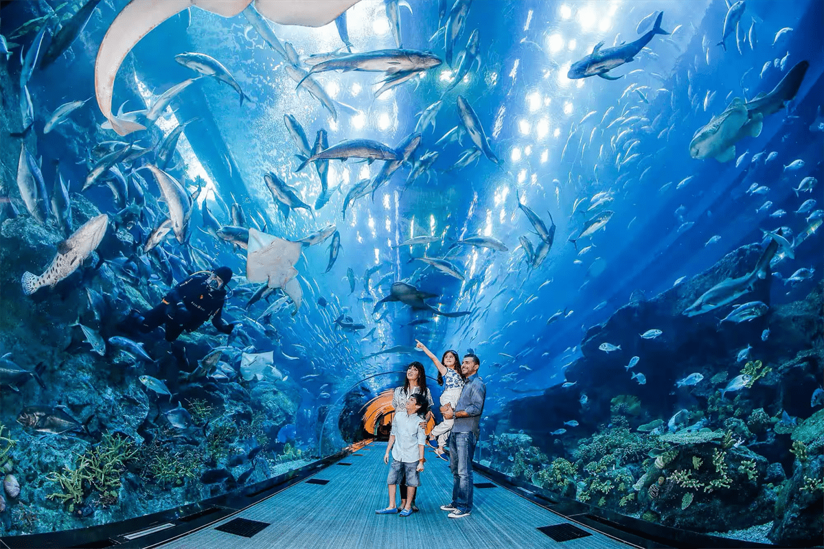 <span> Day 4 </span>DUBAI AQUARIUM + UNDERWATER ZOO + DUBAI  DOLPHINARIUM